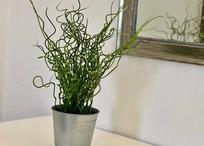 Prázdninový dům Cristina 9 *