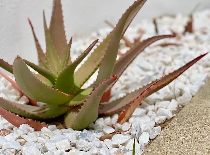 Cristina 9 אלבופיירה